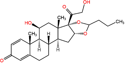 Budesonide Budesonide